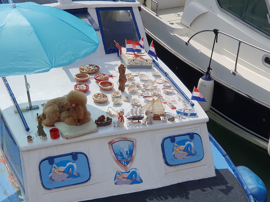 Dog on a boat selling trinkets